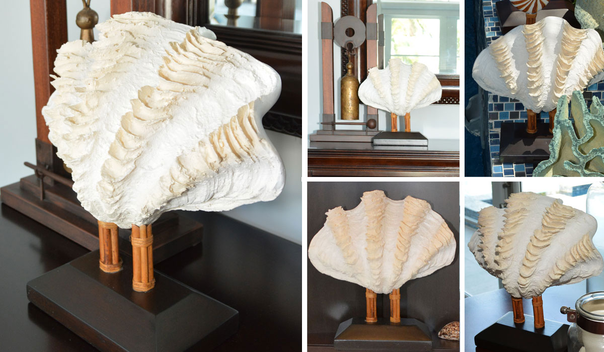 Stone cast clam shell mounted with bundled rattan on tiered wood base available at InvitingHome.com