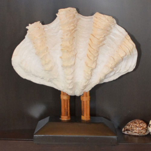 Clam Shell On Stand