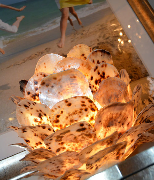 Below Uplight Displayed Spotted Shell Lamp