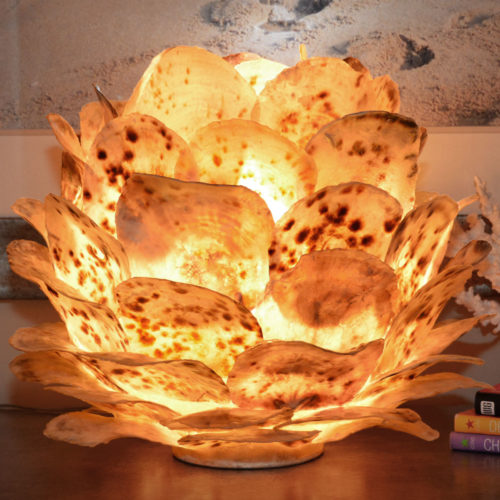 Uplight Displayed Spotted Shell Lamp