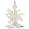 White Coral Sculpture